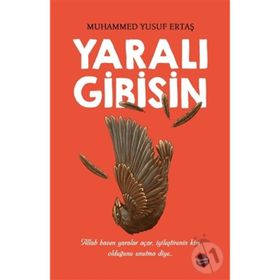 Yaralı Gibisin - Muhammed Yusuf Ertaş