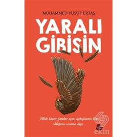 Yaralı Gibisin - Muhammed Yusuf Ertaş