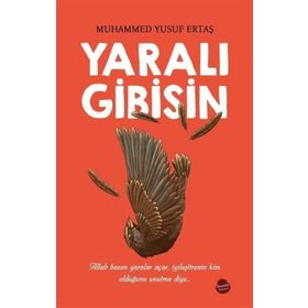 Yaralı Gibisin - Muhammed Yusuf Ertaş