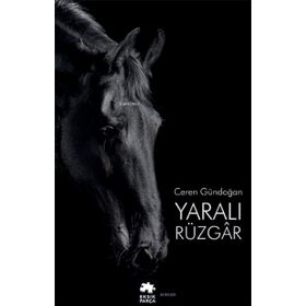 Yaralı Rüzgar - Eksik Parça Yayınları
