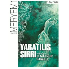 YARATILIŞ SIRRI - TOM KNOX