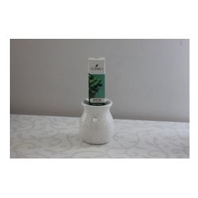 Yaren 10 ml Kekik yağı