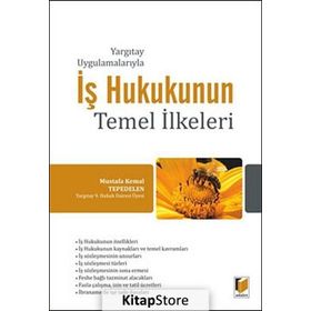Yargıtay Uygulamalarıyla İş Hukukunun Temel İlkeleri - Mustafa Kemal Tepedelen