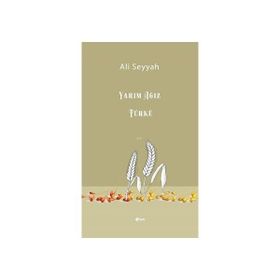 Yarım Ağız Türkü - Şule Yayınları