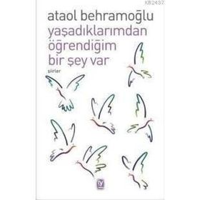YAŞADIKLARIMDAN ÖĞRENDİĞİM BIR ŞEY VAR - ATAOL BEHRAMOĞLU