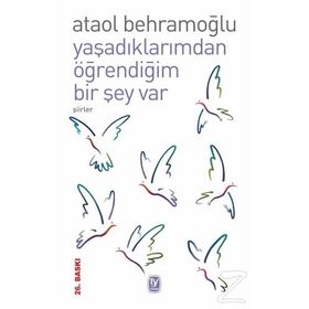 YAŞADIKLARIMDAN ÖĞRENDİĞİM BIR ŞEY VAR - ATAOL BEHRAMOĞLU
