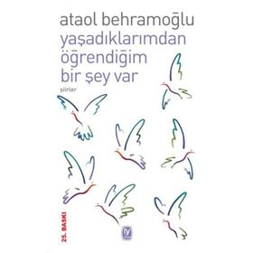 YAŞADIKLARIMDAN ÖĞRENDİĞİM BIR ŞEY VAR - ATAOL BEHRAMOĞLU