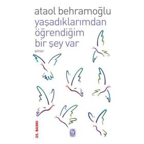 YAŞADIKLARIMDAN ÖĞRENDİĞİM BIR ŞEY VAR - ATAOL BEHRAMOĞLU