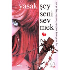 YASAK ŞEY SENI SEVMEK - ALPER KUTAY ERKE