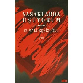 Yasaklarda Üşüyorum - Cumali Eşsizoğlu