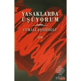 Yasaklarda Üşüyorum - Cumali Eşsizoğlu