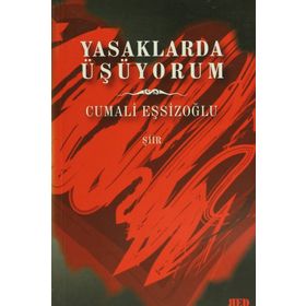 Yasaklarda Üşüyorum - Cumali Eşsizoğlu
