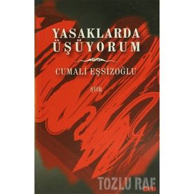 Yasaklarda Üşüyorum - Cumali Eşsizoğlu
