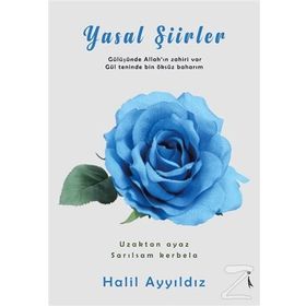 Yasal Şiirler / Halil Ayyıldız / İkinci Adam Yayınları