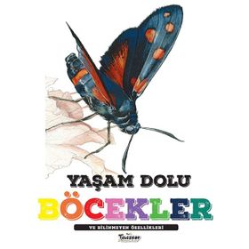 Yaşam Dolu Böcekler - Kolektif