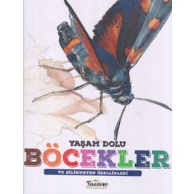 Yaşam Dolu Böcekler - Kolektif
