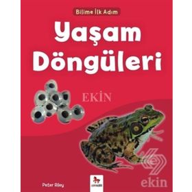 Yaşam Döngüleri-Bilime İlk Adım / Peter Riley