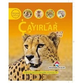 YAŞAM DÖNGÜSÜ: ÇAYIRLAR YERYÜZÜ EKOSISTEMLERINI KEŞFEDELİM - SEAN CALLERY