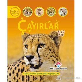 YAŞAM DÖNGÜSÜ: ÇAYIRLAR YERYÜZÜ EKOSISTEMLERINI KEŞFEDELİM - SEAN CALLERY