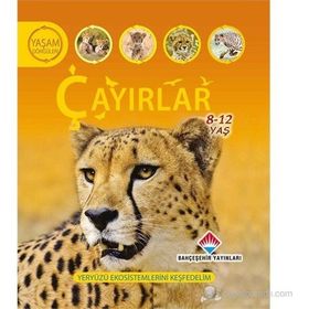 YAŞAM DÖNGÜSÜ: ÇAYIRLAR YERYÜZÜ EKOSISTEMLERINI KEŞFEDELİM - SEAN CALLERY