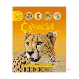 YAŞAM DÖNGÜSÜ: ÇAYIRLAR YERYÜZÜ EKOSISTEMLERINI KEŞFEDELİM - SEAN CALLERY
