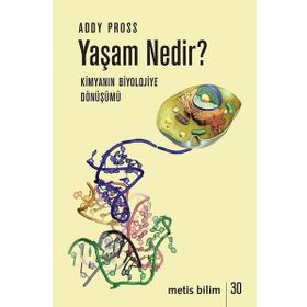 Yaşam Nedir? - Addy Pross
