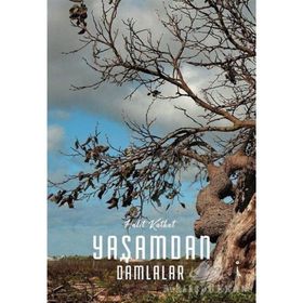 Yaşamdan Damlalar - Halit Katkat