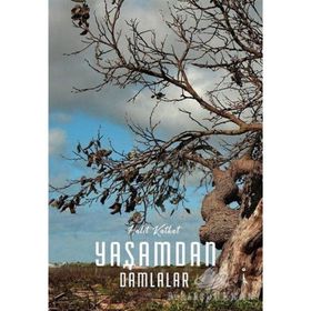 Yaşamdan Damlalar - Halit Katkat
