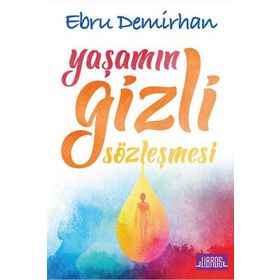 Yaşamın Gizli Sözleşmesi - Ebru Demirhan