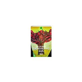 Yaşanmamış Aşk - İnci Becerikli