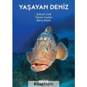 Yaşayan Deniz - Şükran Cirik Tahsin Ceylan Barış Akçalı