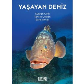 Yaşayan Deniz - Şükran Cirik Tahsin Ceylan Barış Akçalı