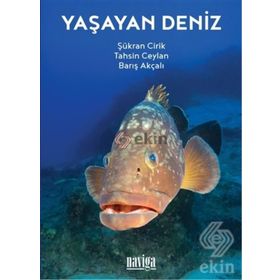 Yaşayan Deniz - Şükran Cirik Tahsin Ceylan Barış Akçalı