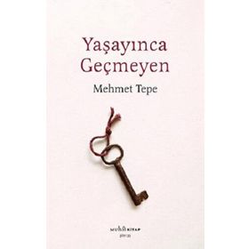 Yaşayınca Geçmeyen - Mehmet Tepe