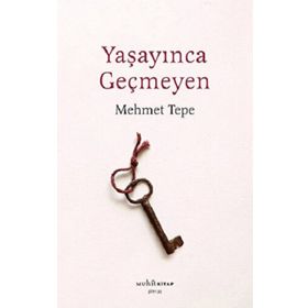 Yaşayınca Geçmeyen - Mehmet Tepe