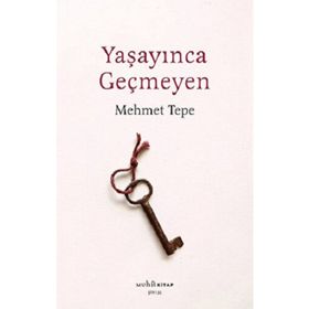 Yaşayınca Geçmeyen - Mehmet Tepe