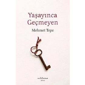 Yaşayınca Geçmeyen - Mehmet Tepe