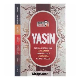 Yasin Cep Boy Arapça İri Selefonlu Sesli Bilgisayar Hatlı - kollektif