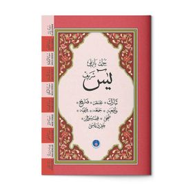 YASIN-I ŞERIF - KUR'ANI-I KERIM'DEN SURELER (CAMI BOY) (CB05) BILGISAYAR YAZILI - YUSUF TAVASLI