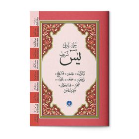 YASIN-I ŞERIF - KUR'ANI-I KERIM'DEN SURELER (CAMI BOY) (CB05) BILGISAYAR YAZILI - YUSUF TAVASLI