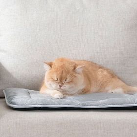 Yataş Bedding Ringo 60x40x3 cm Small Kedi ve Köpek Yatağı