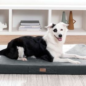 Yataş Bedding Thor 110x80x10 cm Large Kedi ve Köpek Yatağı