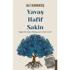 Yavaş, Hafif, Sakin - Ali Karakuş