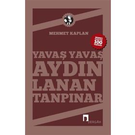 Yavaş Yavaş Aydınlanan Tanpınar - Mehmet Kaplan