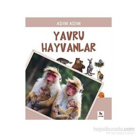 Yavru Hayvanlar - Fiametta Dogi