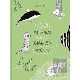 Yavru Hayvanlar Hakkında Olağanüstü Gerçekler Meav Yayıncılık
