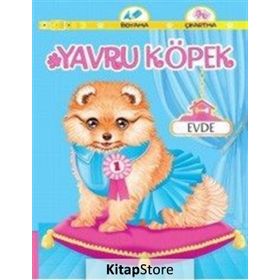 Yavru Köpek Evde - Abdullah Karaca