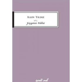 YAYGARACI RUHLAR - ILGIN YILDIZ