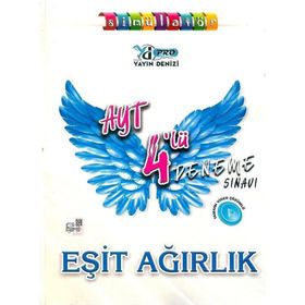 Yayın Denizi AYT Eşit Ağırlık 4'lü Pro Deneme