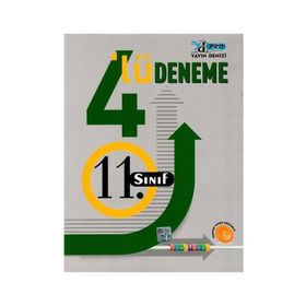 Yayın Denizi Yayınları - 11. Sınıf 4'lü Deneme